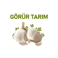 Görür